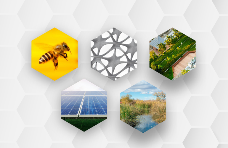 Bees, sun, swimming and 95% recycling. We create a place where nature is an equal partner